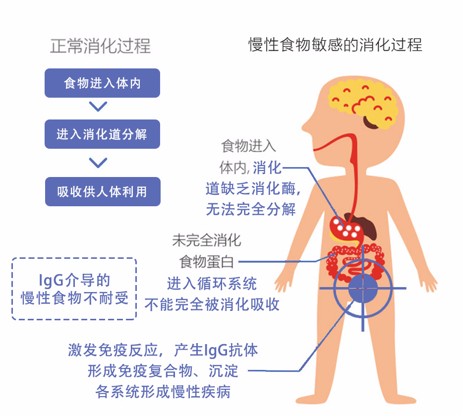 食物不耐受饮食干预