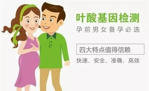 叶酸代谢能力