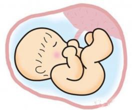 东莞石碣怀孕10天能做亲子鉴定吗？
