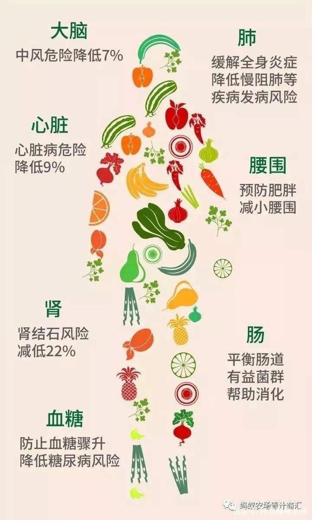 东莞谢岗食物不耐受是什么？