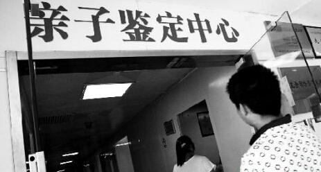 东莞南城做亲子鉴定需要什么-中检国森