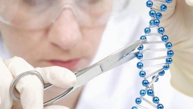 东莞樟木头食物不耐受的症状是什么-中检国森