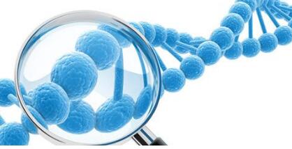 东莞望牛墩基因检测技术分类有哪些？