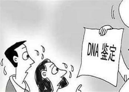 东莞石碣做移民亲子鉴定怎么做？