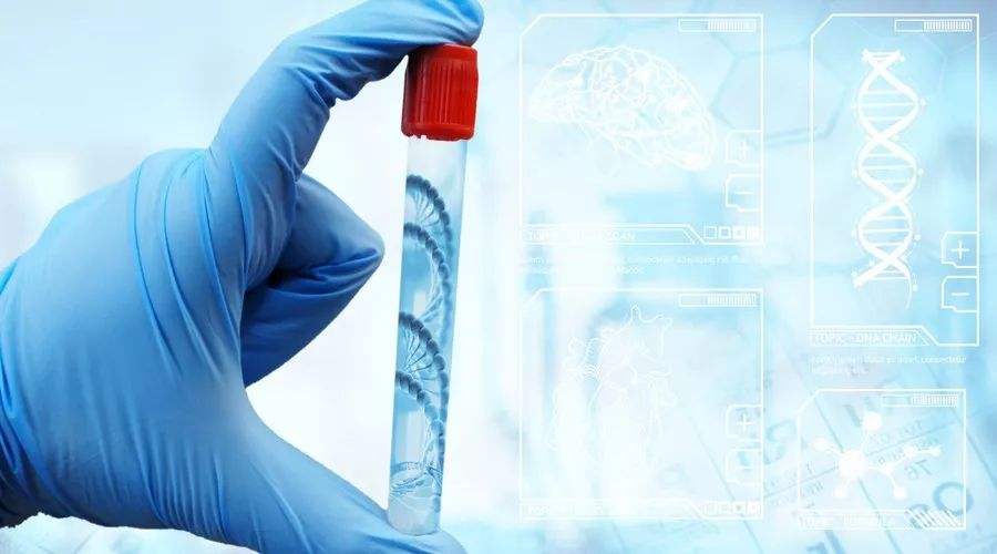 东莞谢岗肺癌患者基因检测的意义？