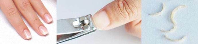 东莞东城有哪些特殊样本采样？