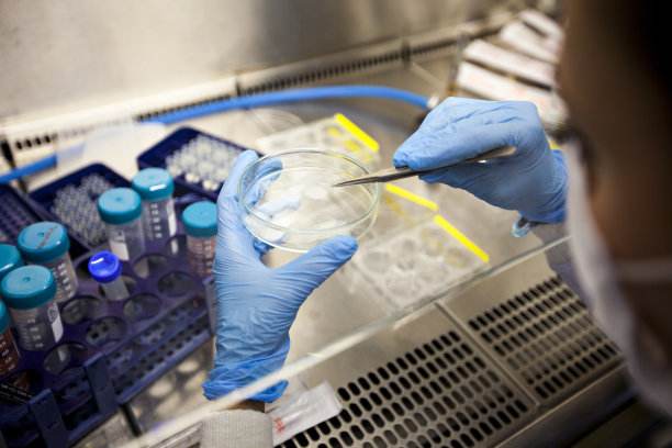 东莞大朗做个亲子鉴定大约需要多少钱？