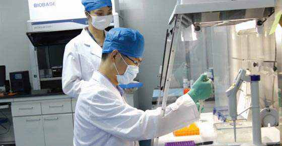 东莞亲子鉴定中心