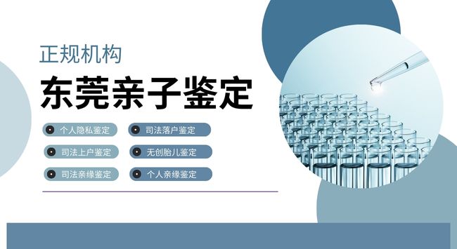 东莞个人亲子鉴定全流程手续指南