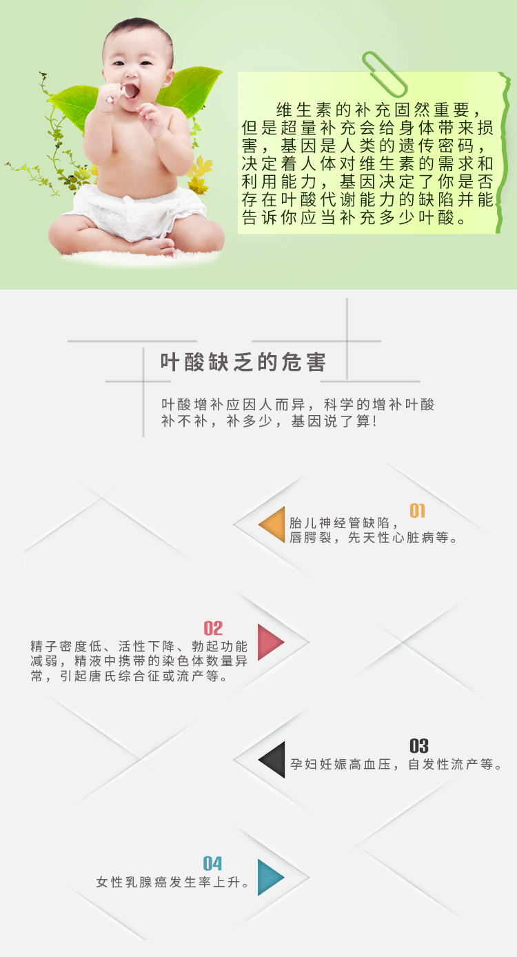 叶酸代谢基因检测(图2)