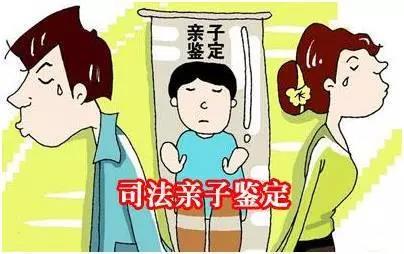 司法亲子鉴定5大用途，你知道几个？(图2)