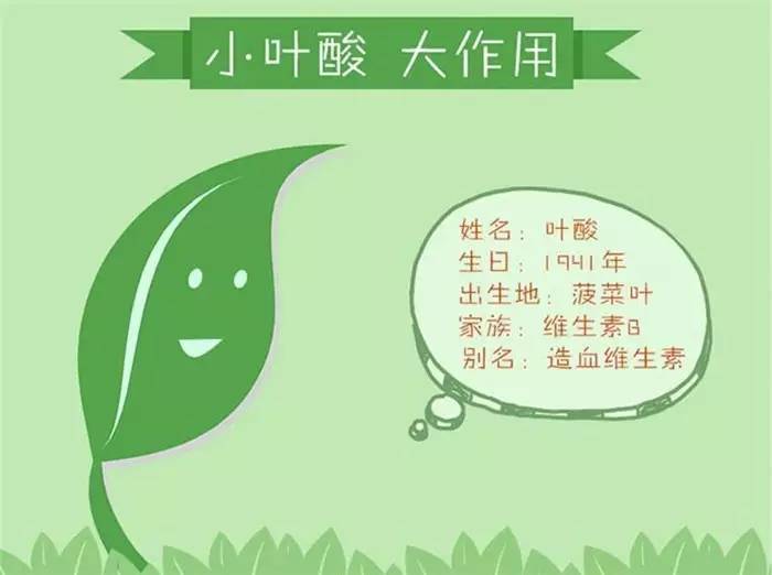 叶酸代谢基因检测的意义(图1)
