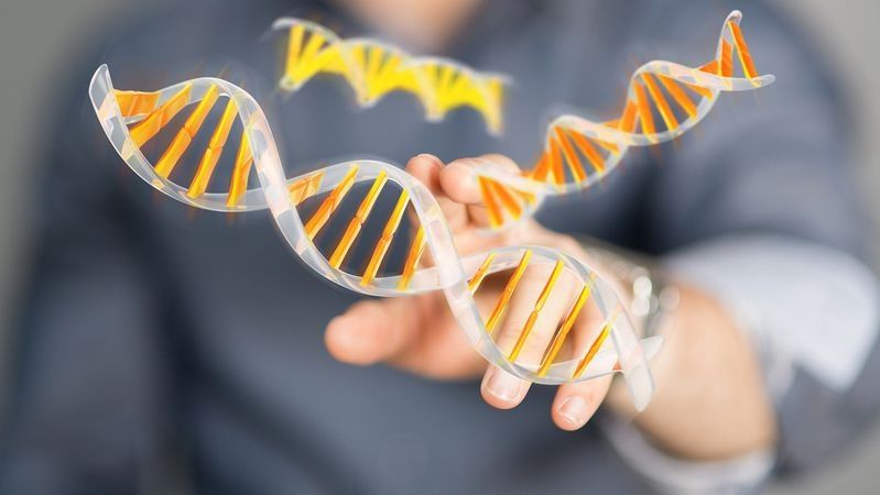 东莞麻涌染色体对亲子鉴定准确性的保障有哪些用途？(图1)
